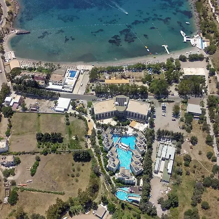 Mio Bianco أكيارلار